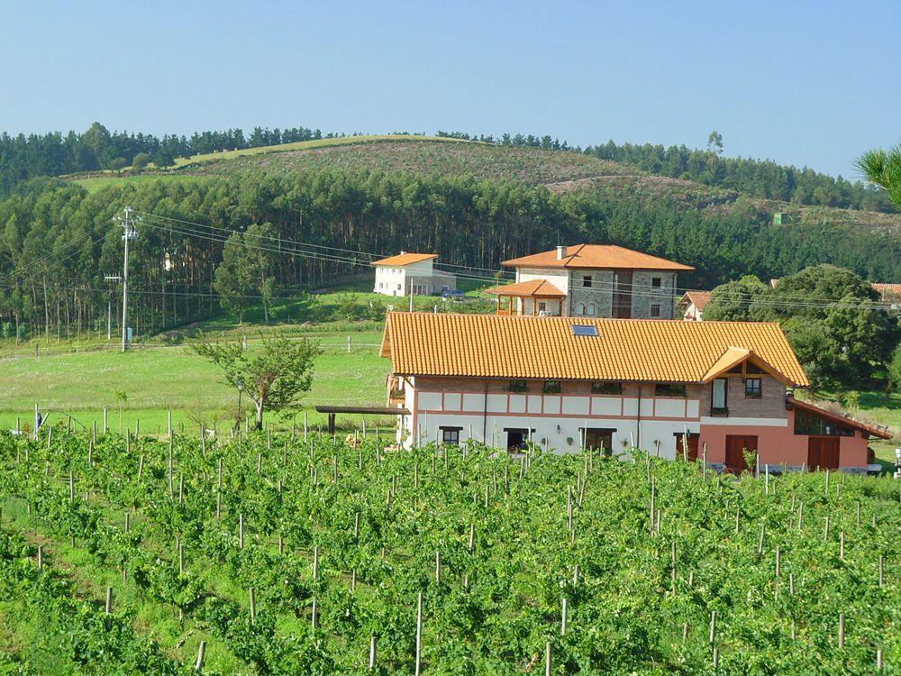 Gasthaus H&Ap Rural Merrutxu Ibarrangelu Exterior foto