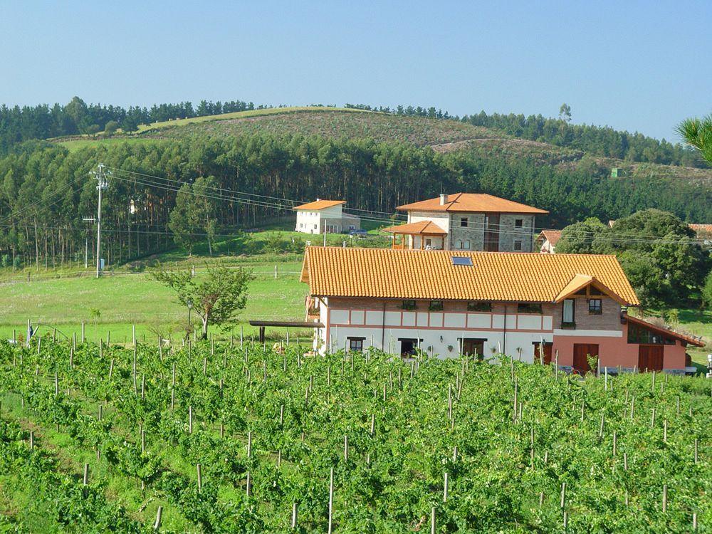 H&Ap Rural Merrutxu Ibarrangelu Exterior foto