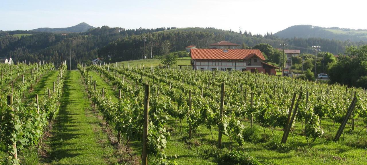 Gasthaus H&Ap Rural Merrutxu Ibarrangelu Exterior foto